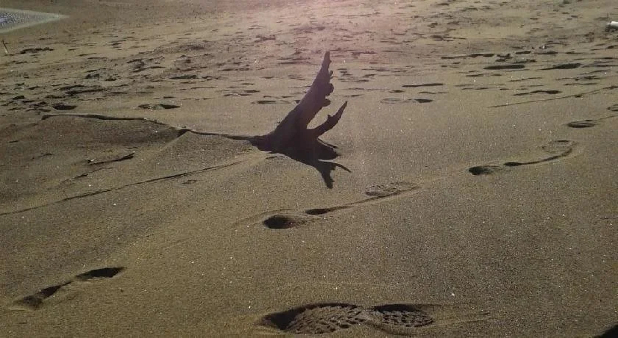 Gite Au Bonheur Du Voyageur B&B