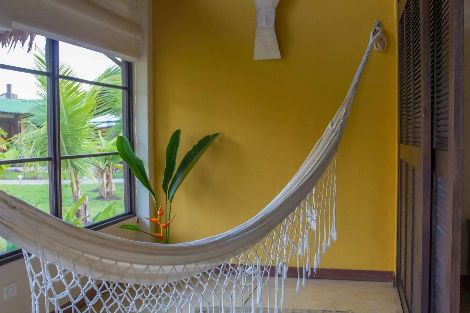 Hotel Amazon Bed & Breakfast