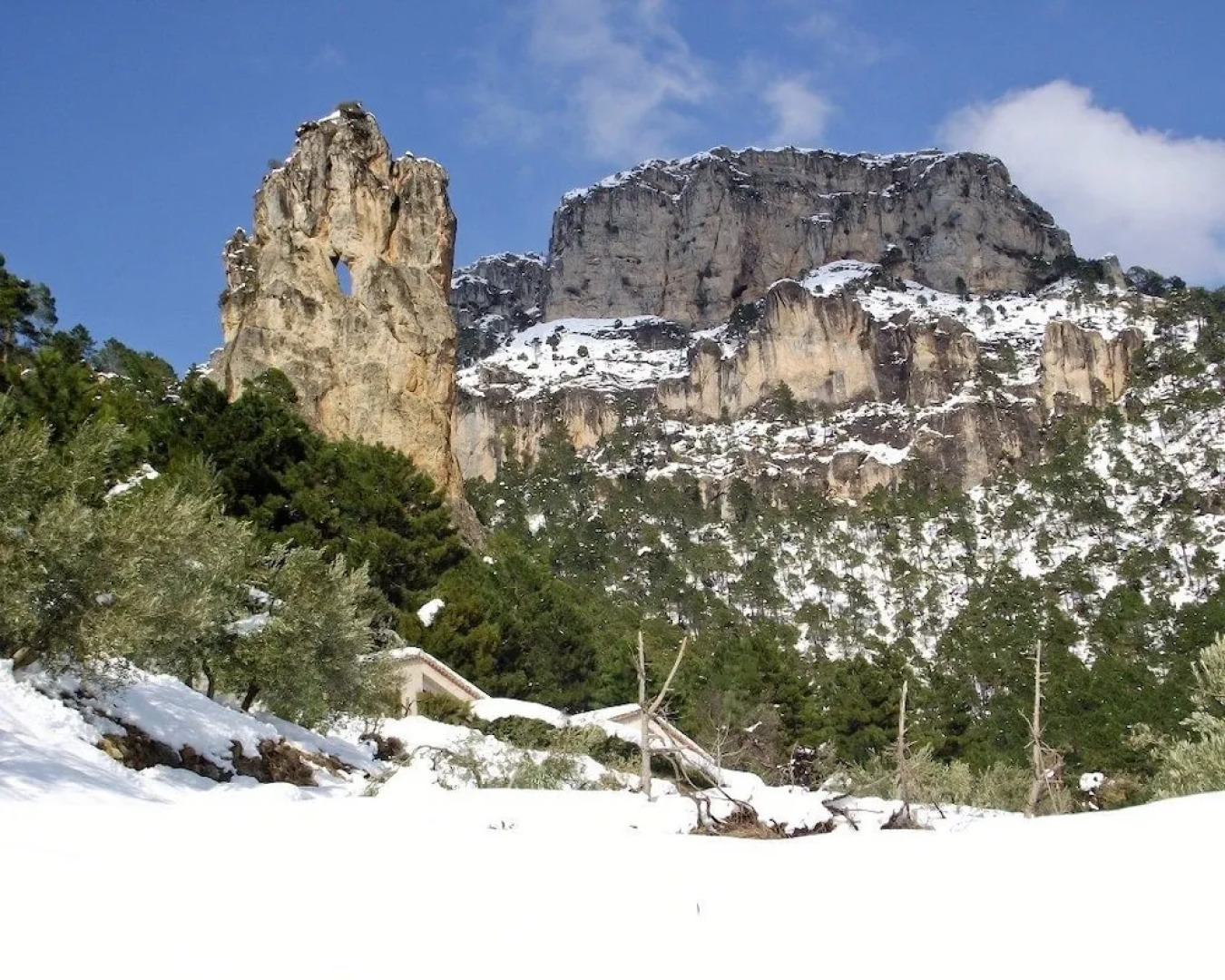 Casas Rurales Mirador del Mundo