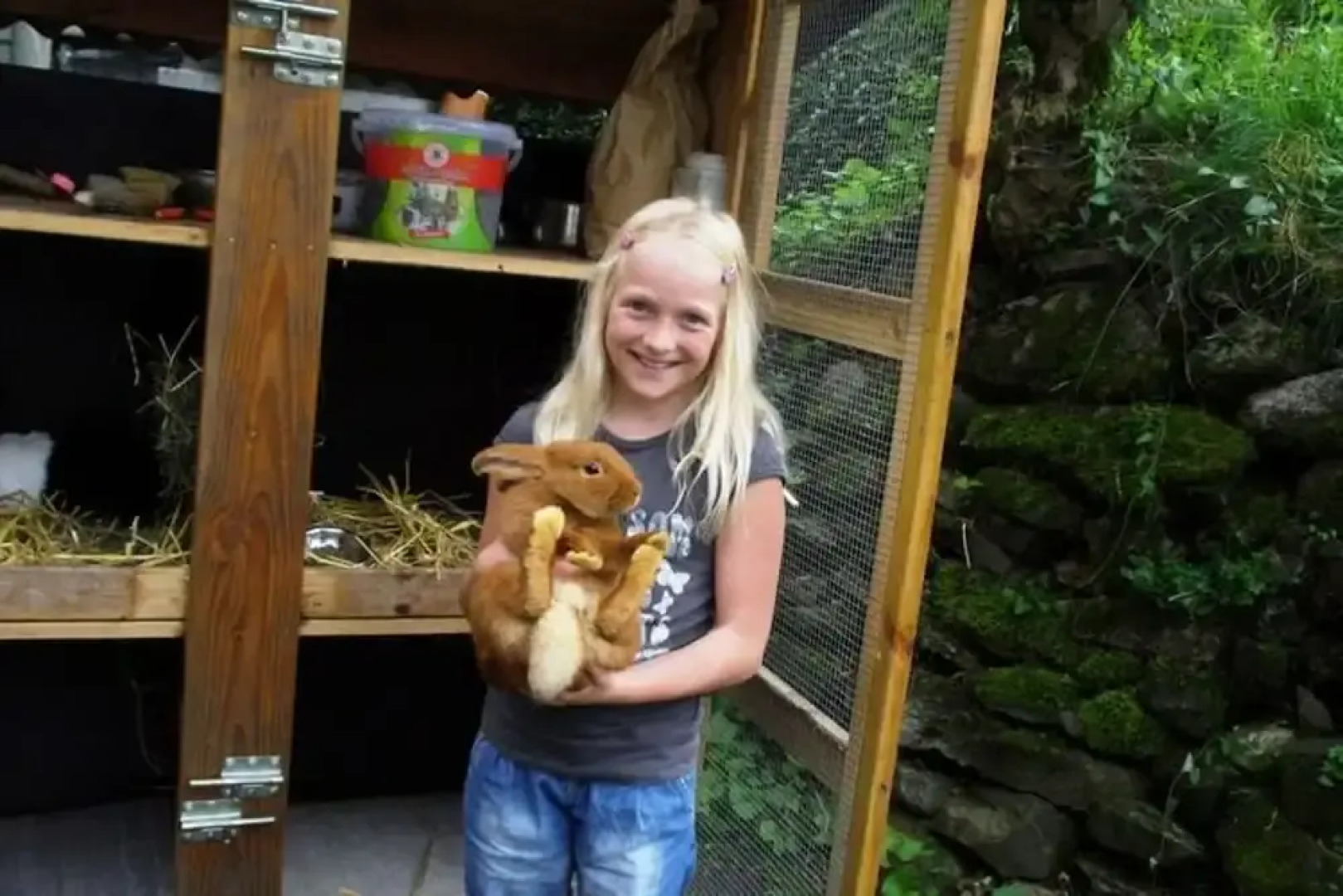 Apartment in Hofstetten Surrounded by Nature