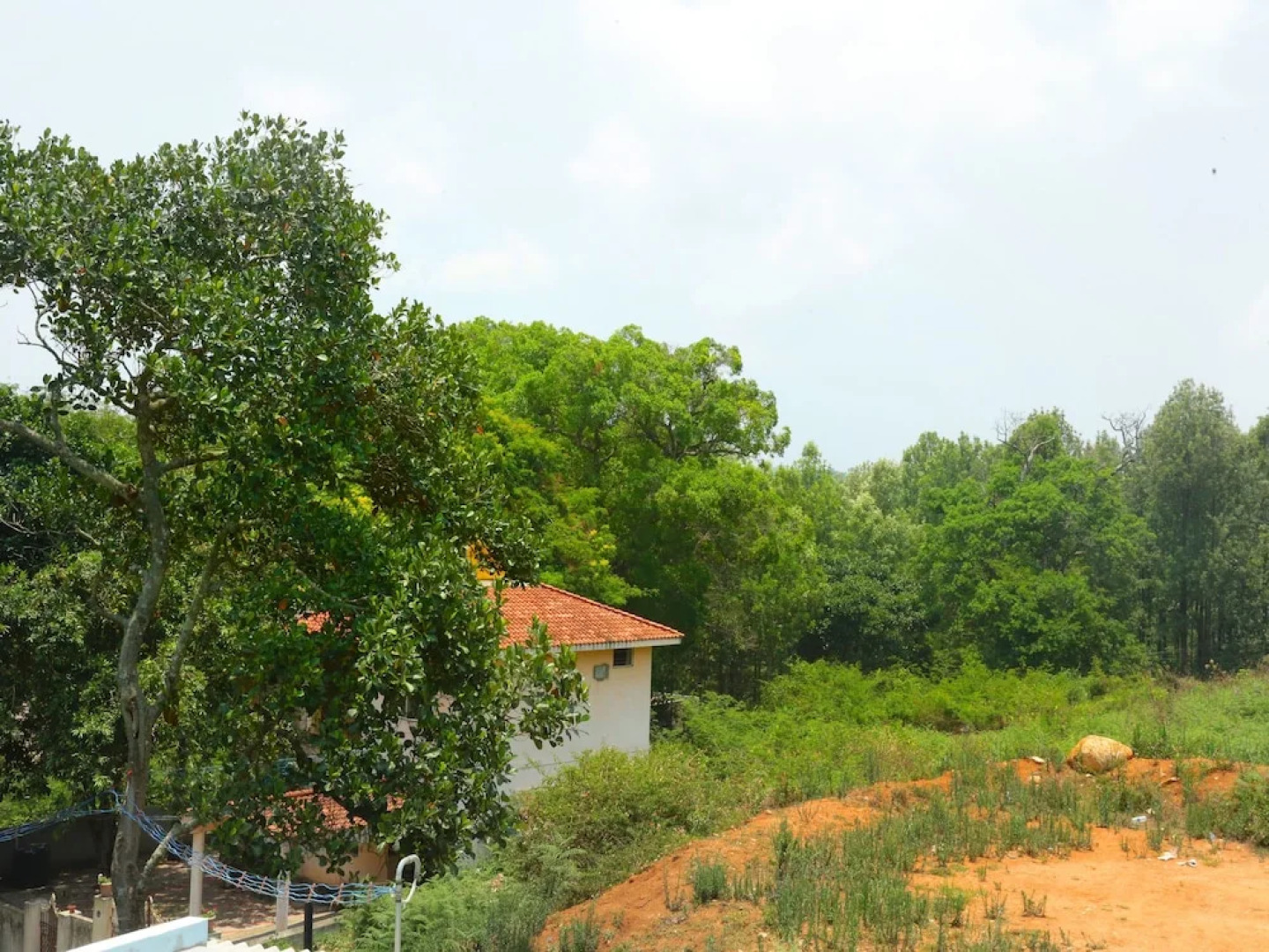 OYO 13792 Blue Bell Holiday Inn