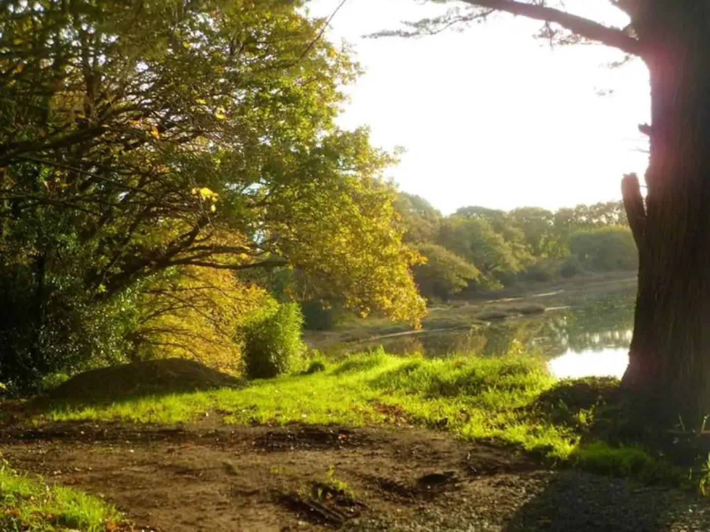 House With 4 Bedrooms In Fouesnant With Enclosed Garden And Wifi 3 Km From The Beach