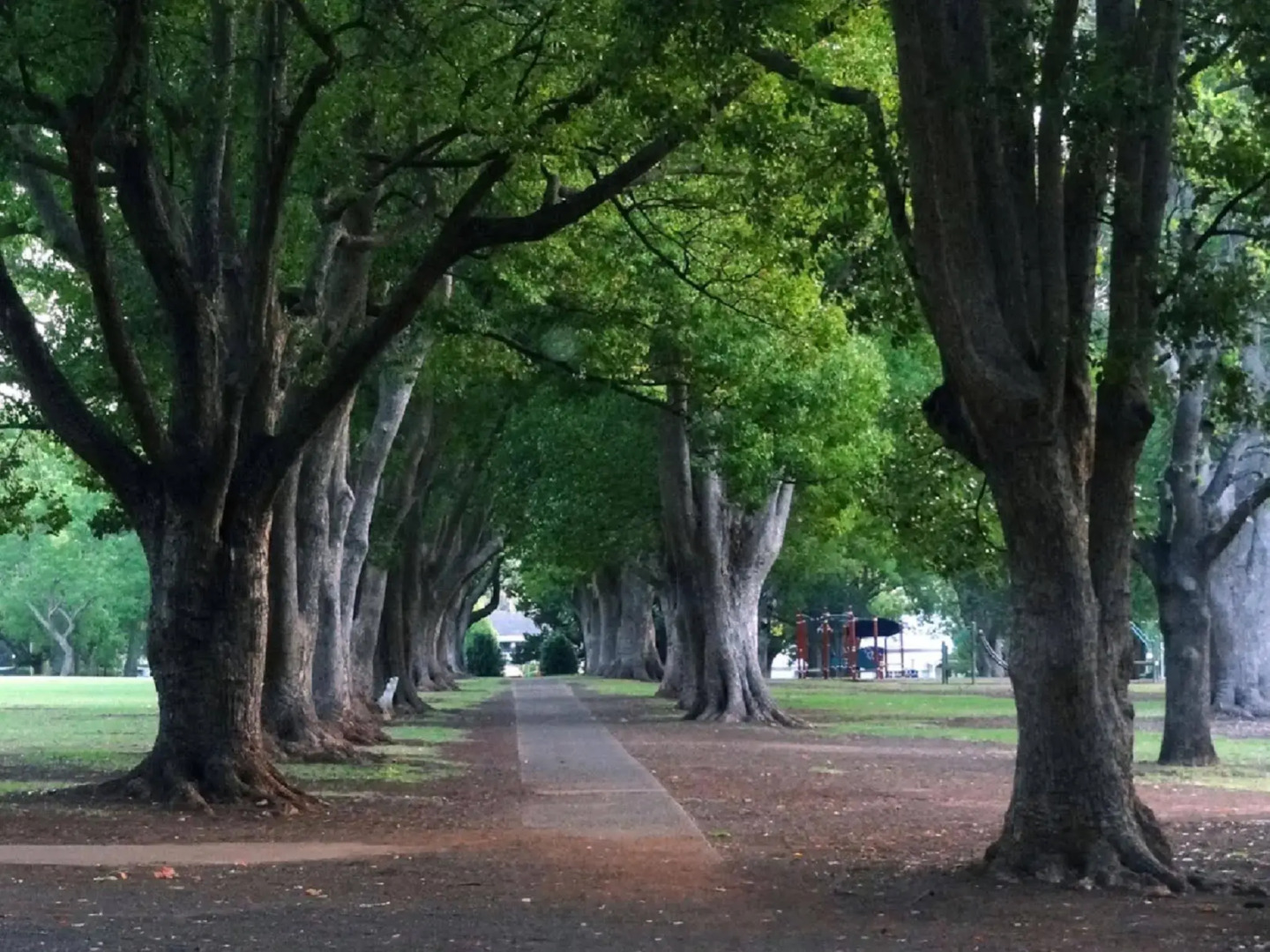 Comfort Inn Grammar View