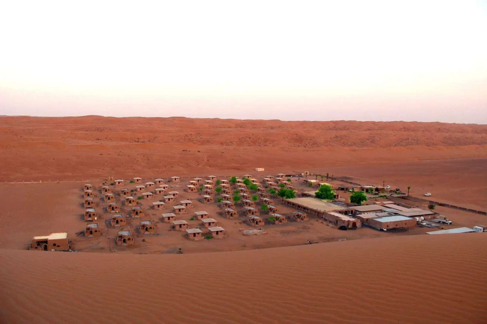 Arabian Oryx Camp