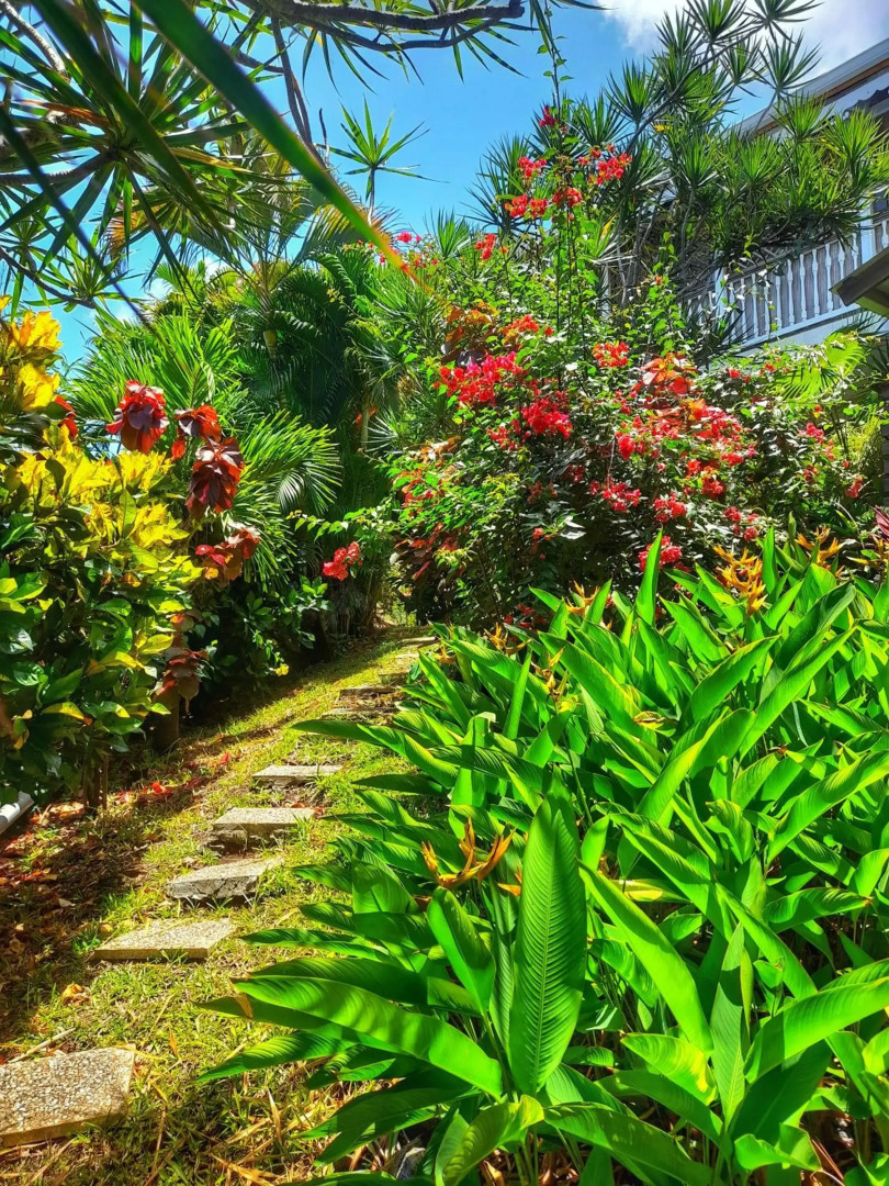 Studio Frangipani dans Villa Fleurs des Iles