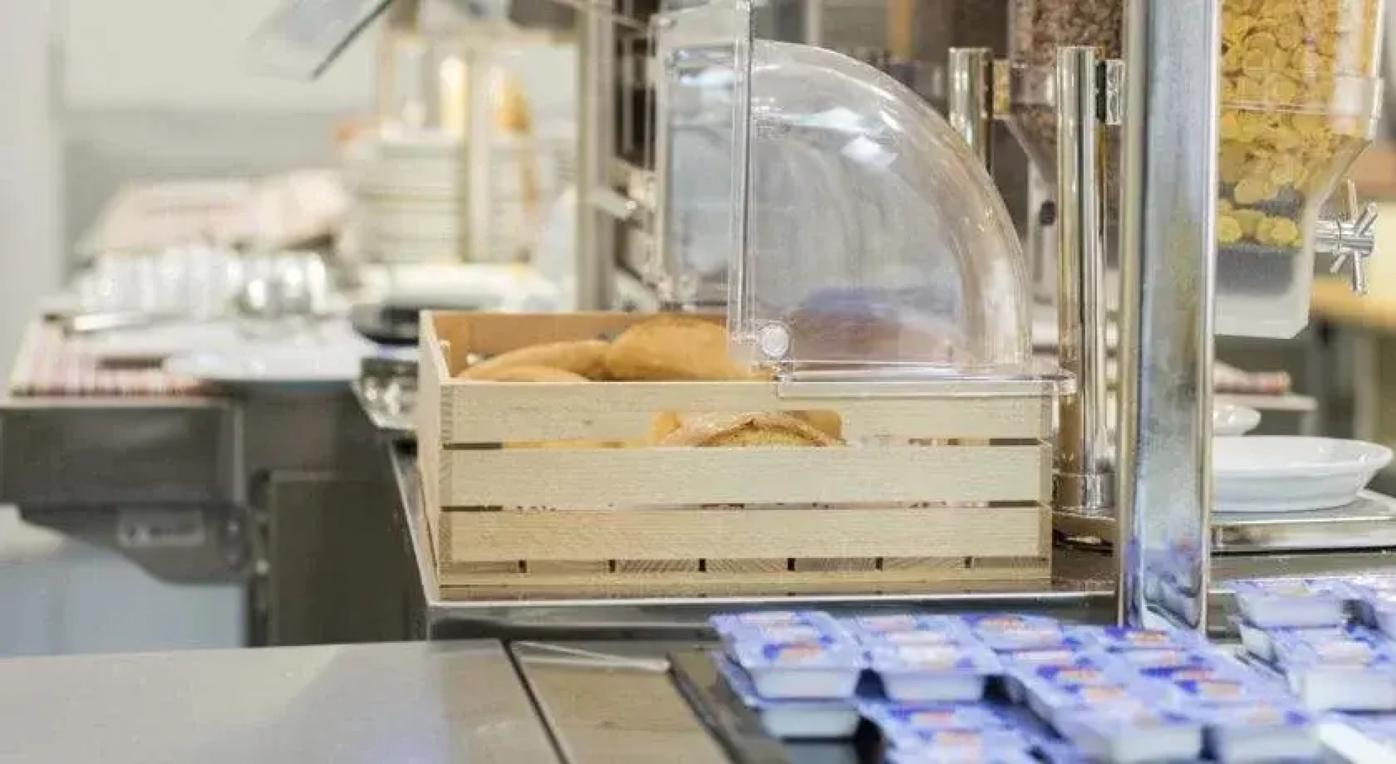 Albergue Inturjoven El Bosque