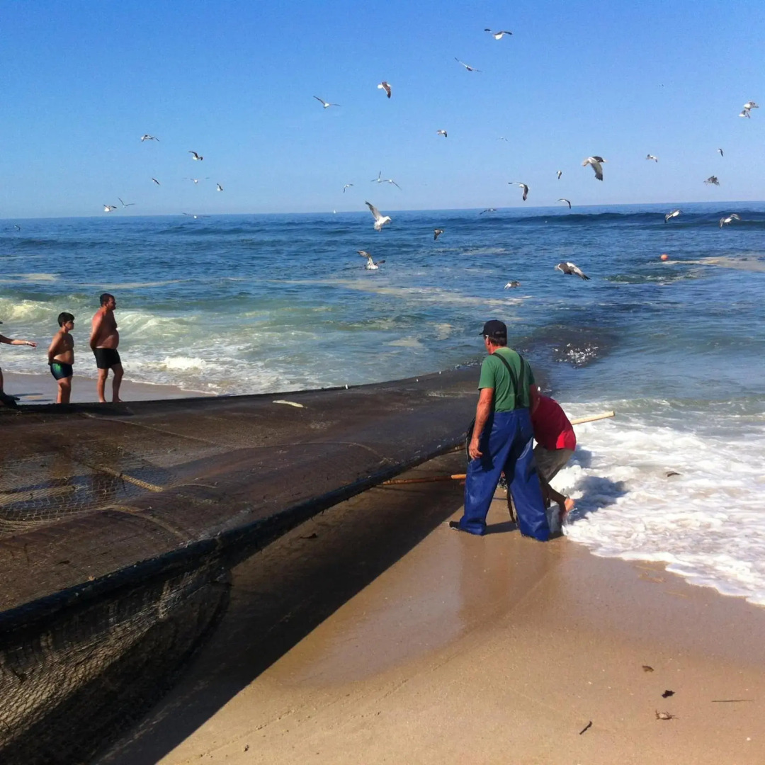 Verde Ria apartamento