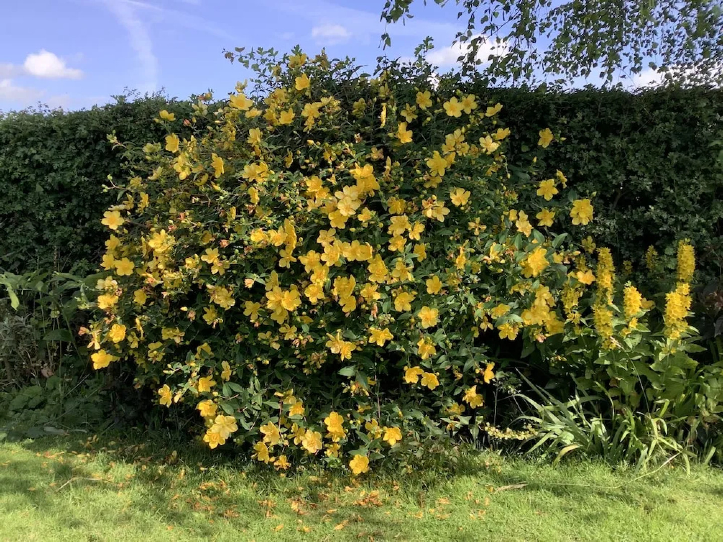 A Serene and Tranquil Escape for two