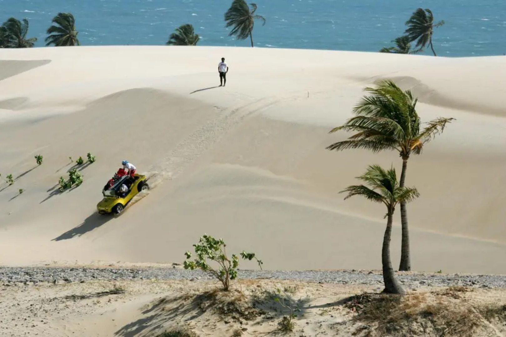 Eco Paradise Temporada Aconchegante