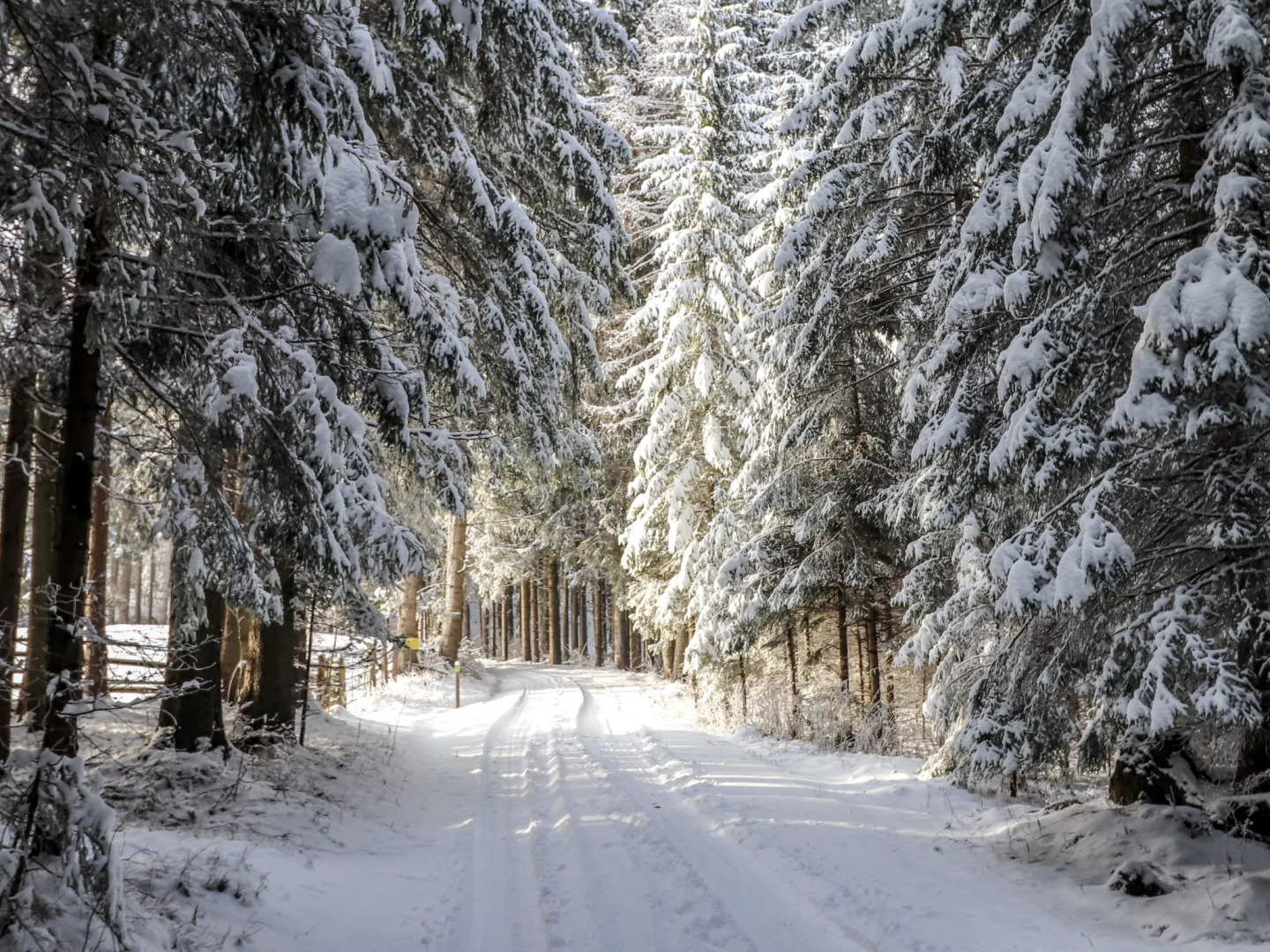 Holiday Home Schönhart