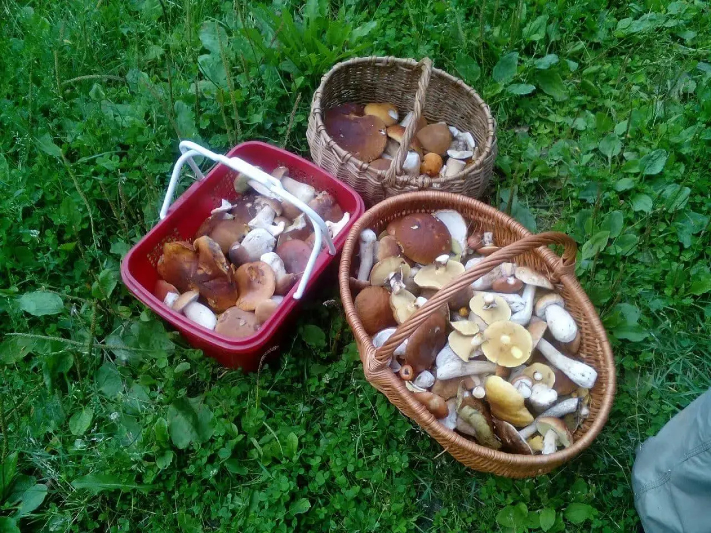 Хутор Корела