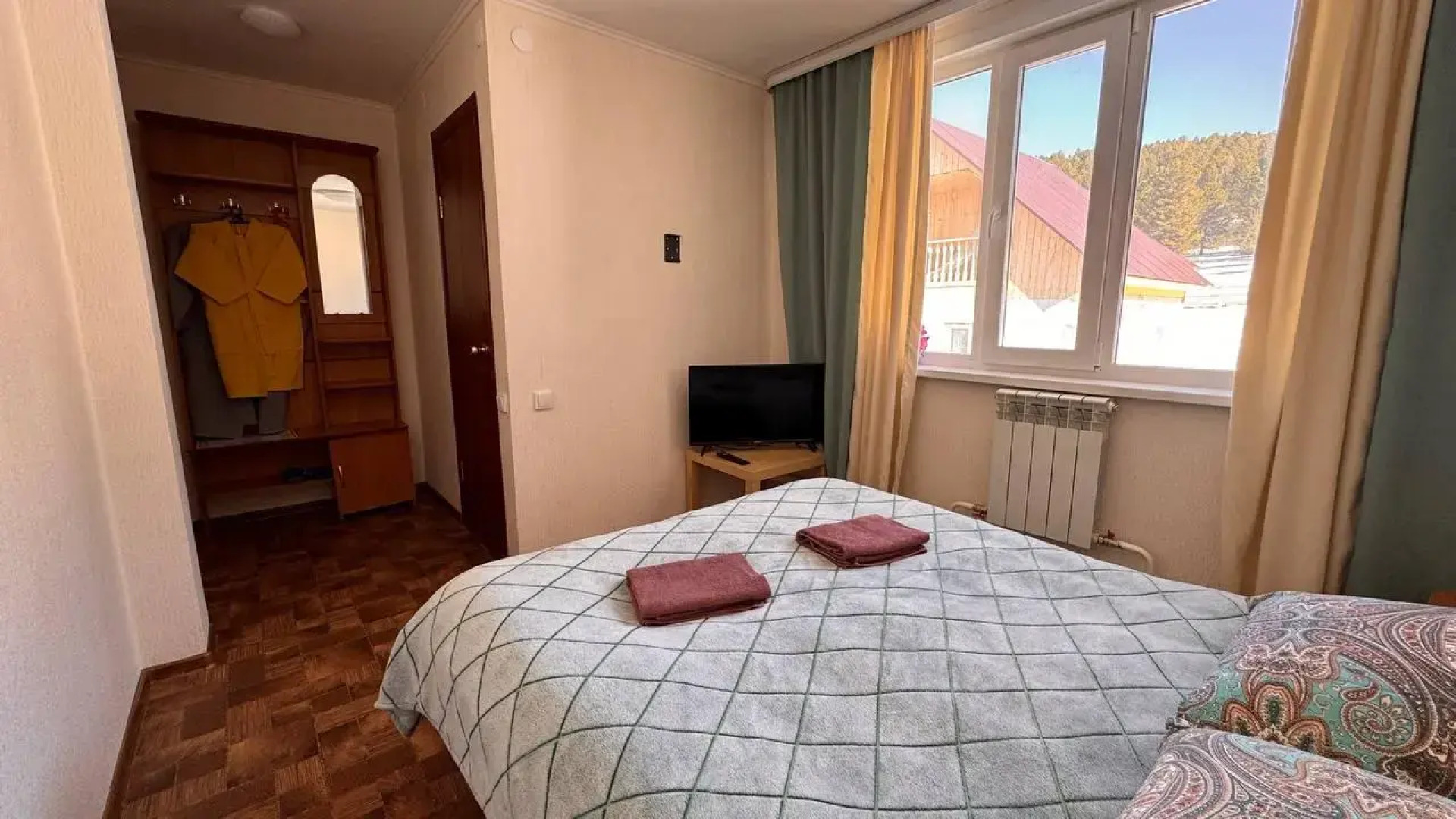 Кедр Золотой