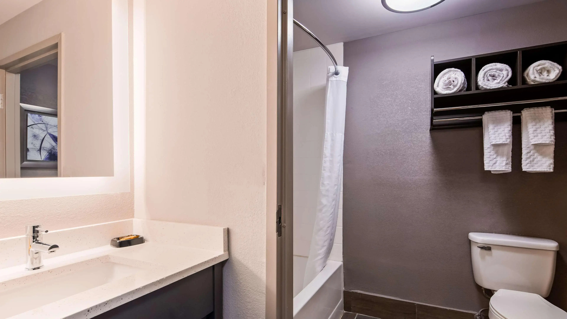 Best Western Plus Spartanburg