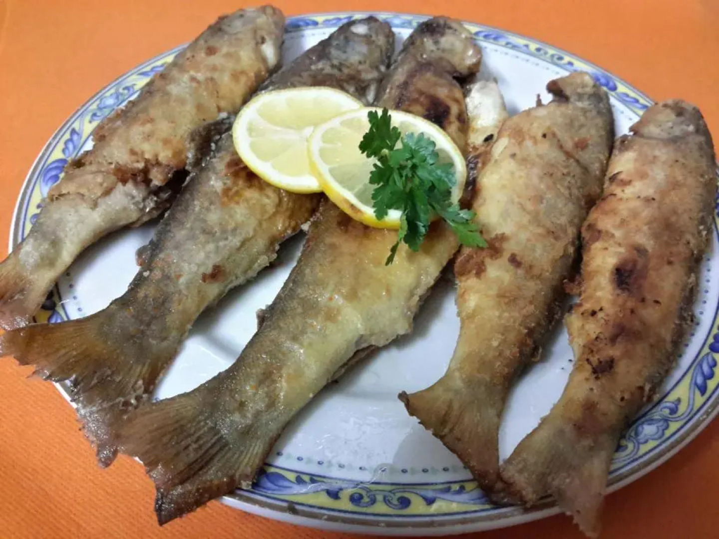 Casa Rural Molí de Fòrnols