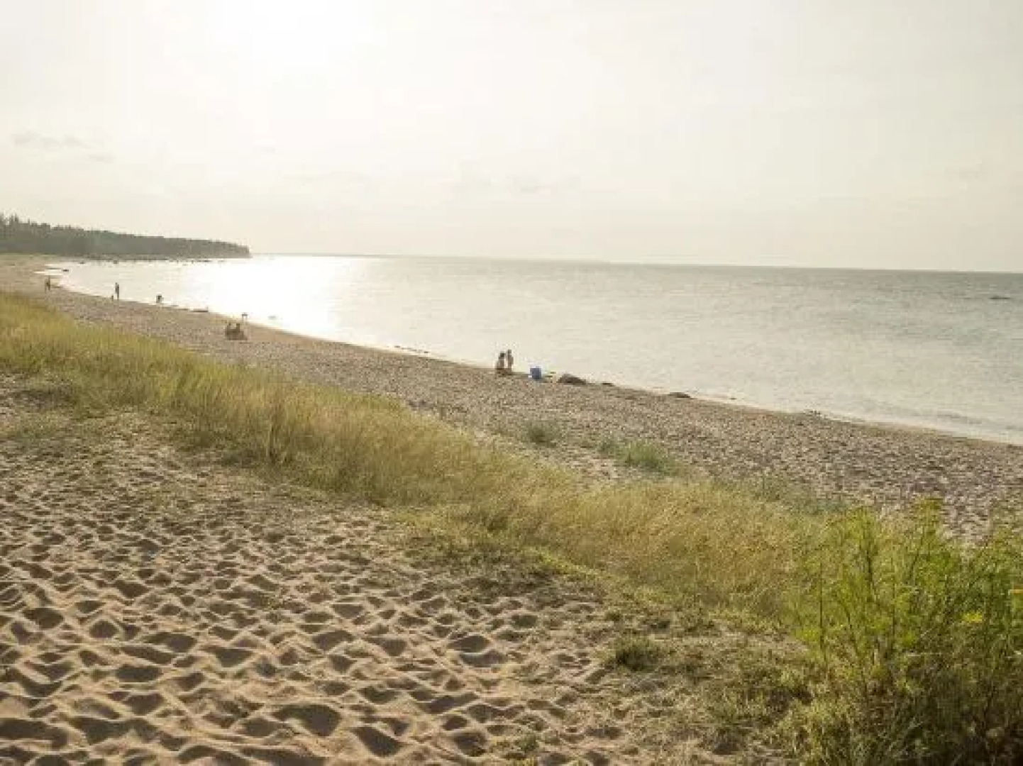 Adami Country Guesthouse