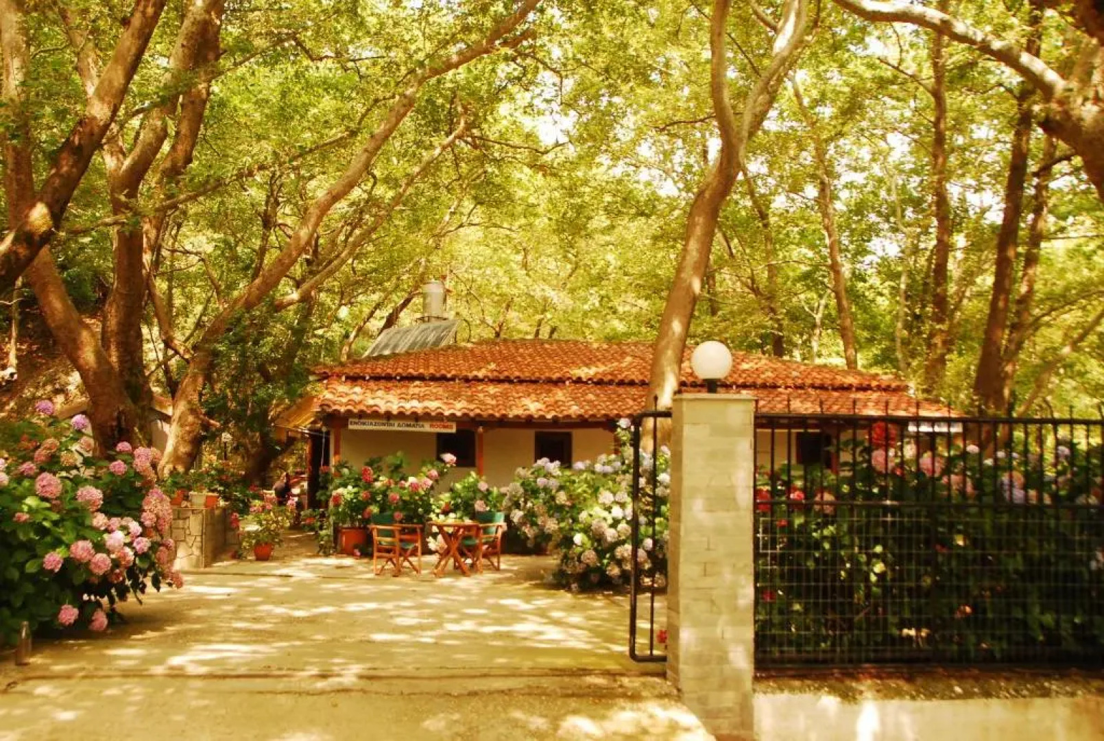 Tasoula Parselia Studios