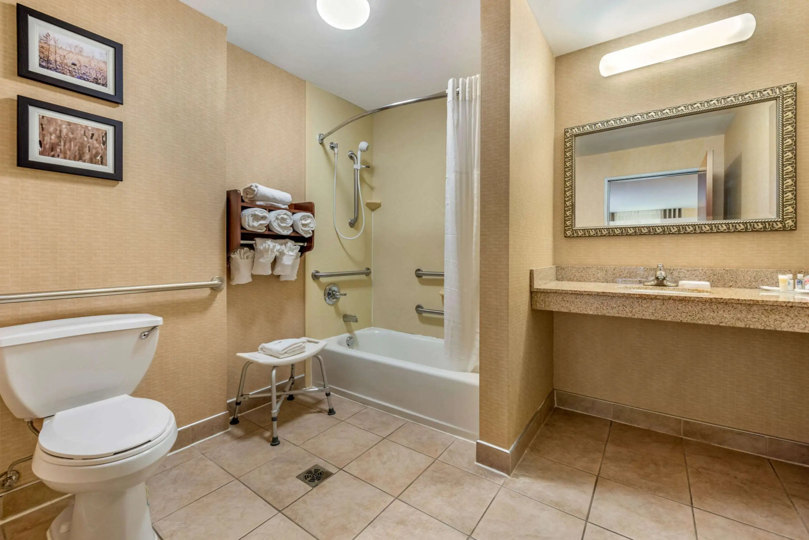 Comfort Suites Elkhart South