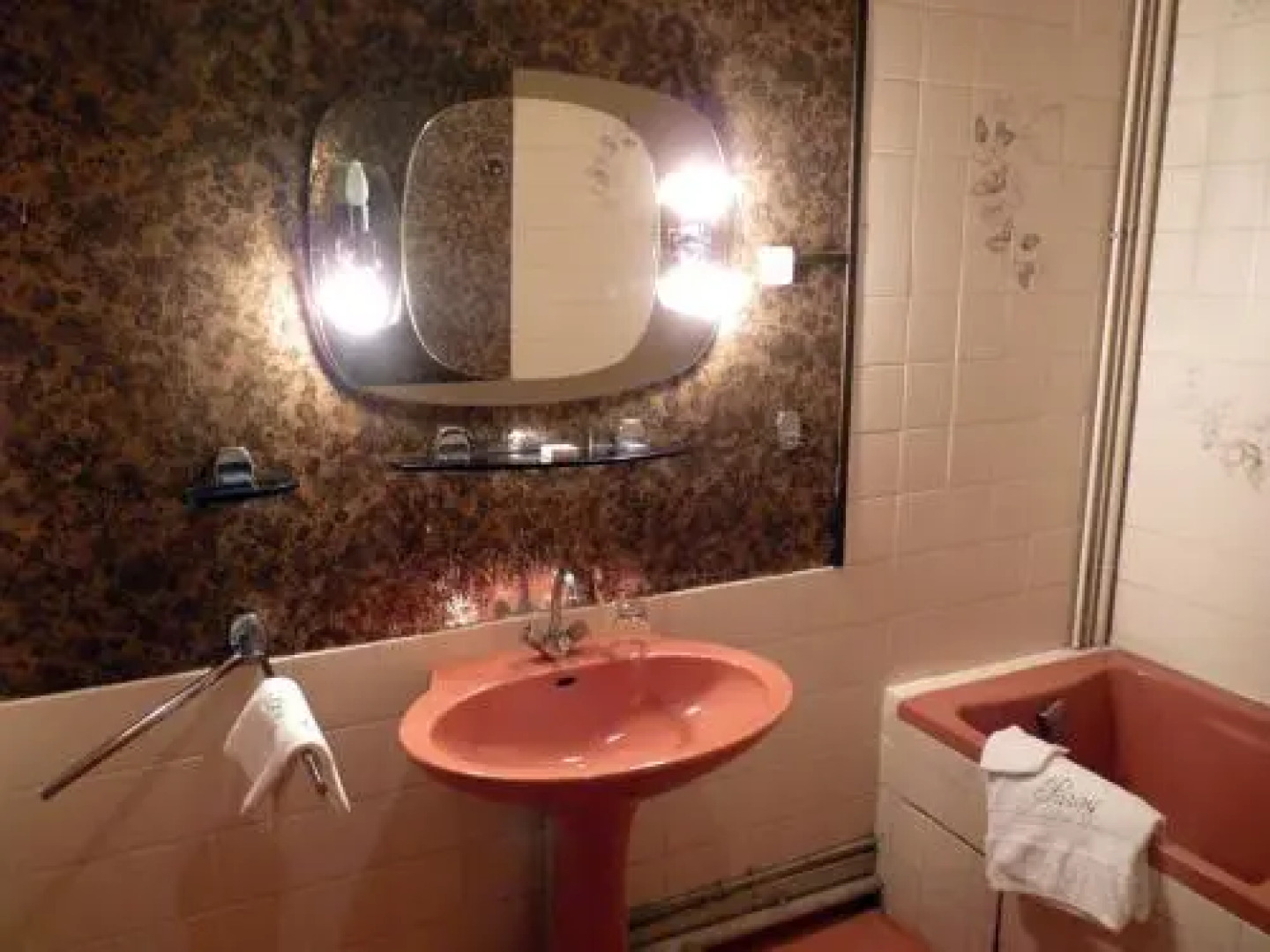 Château de Paray le Frésil