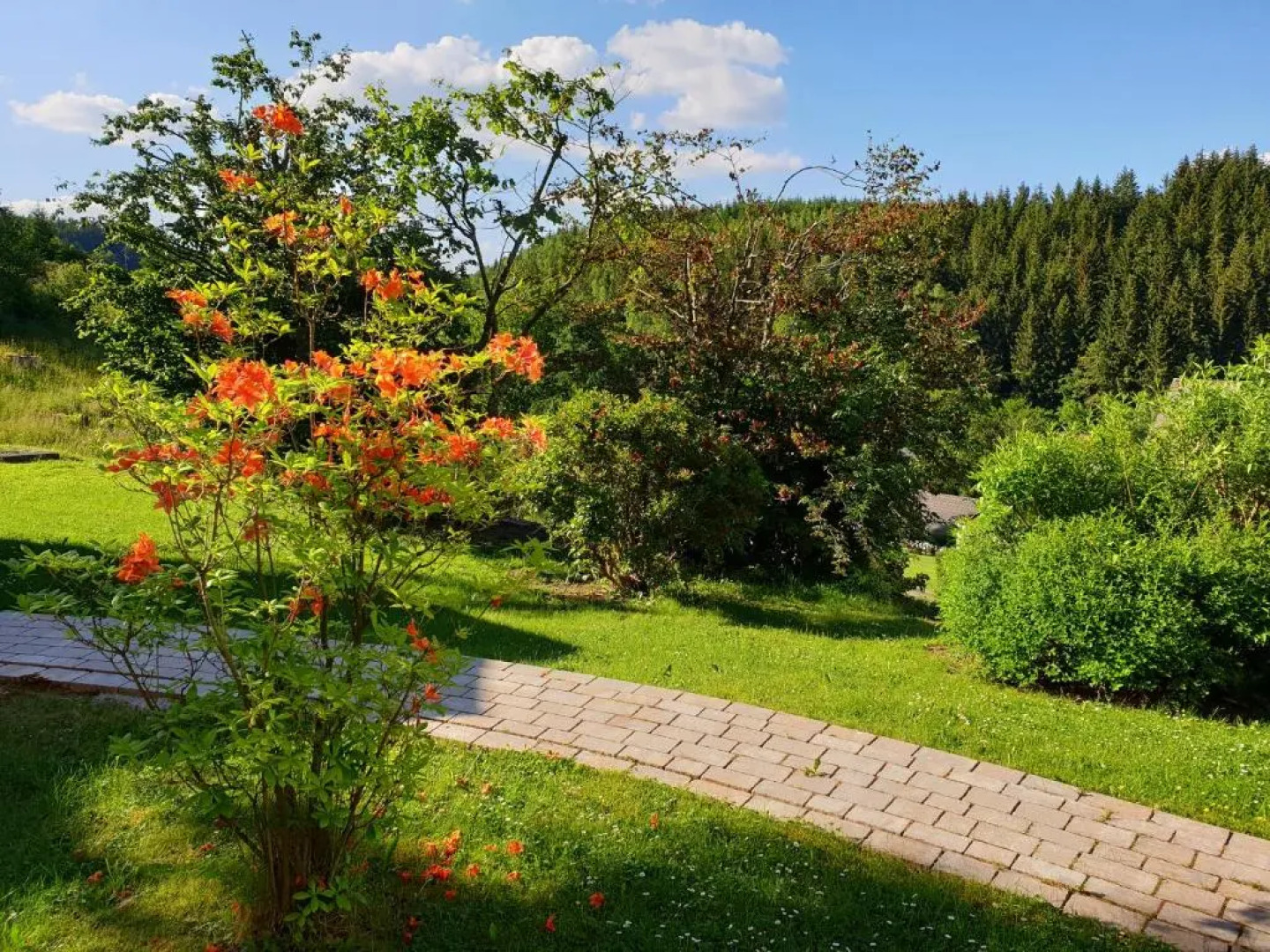 Apartment Augustenhofblick