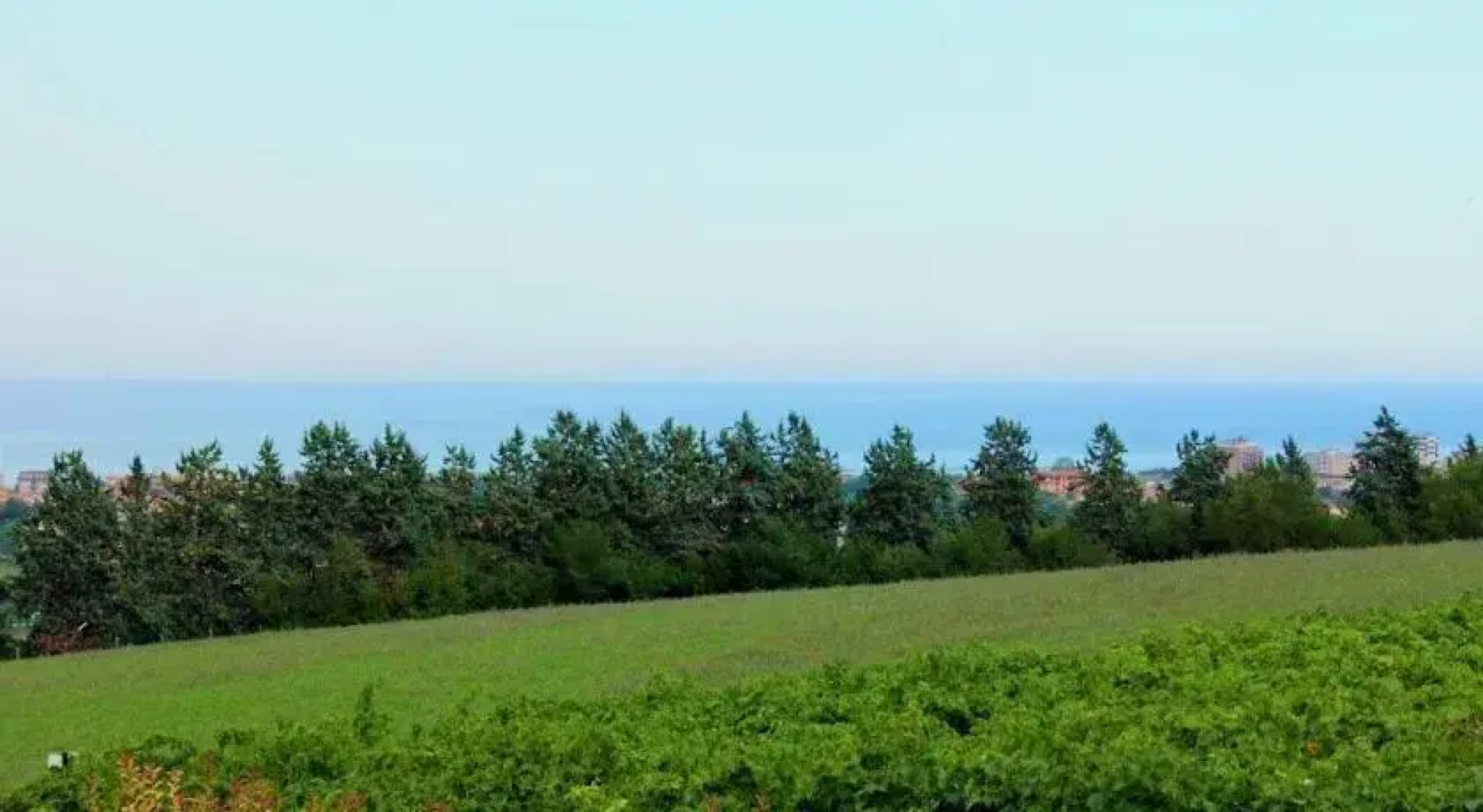 Il Vigneto Country House