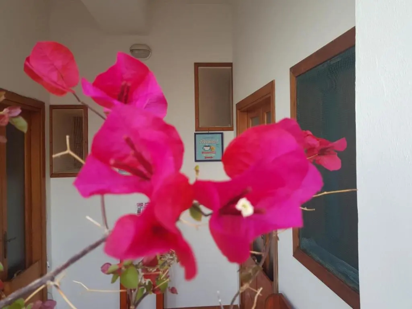 Residence hotel Il mulino