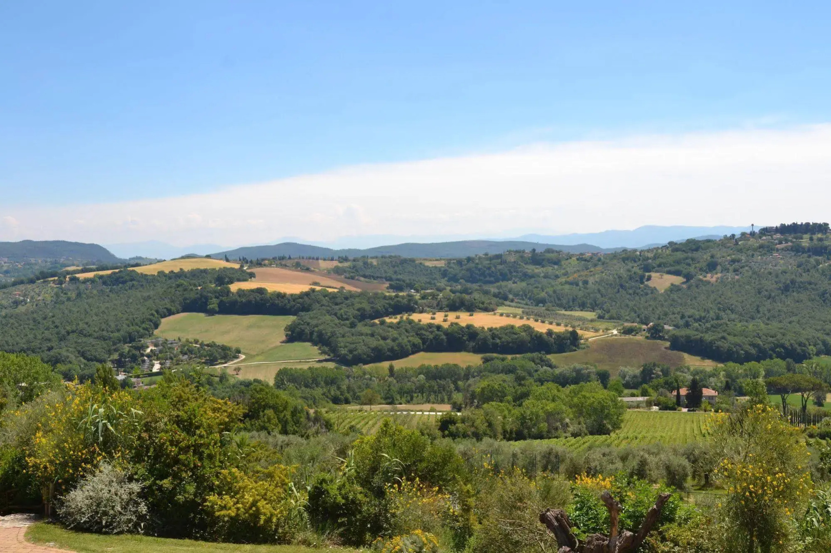 Tenuta Pizzogallo