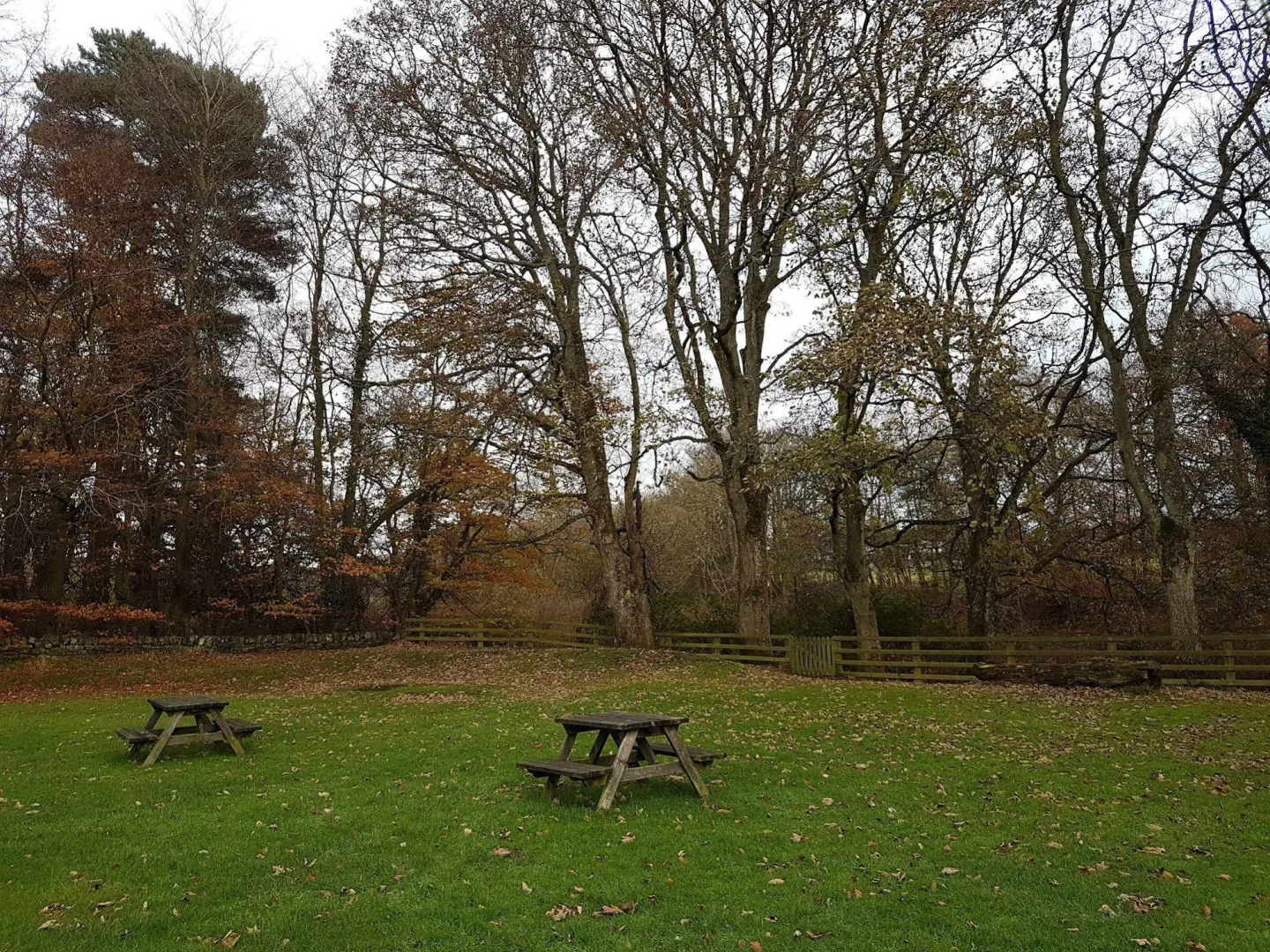 Bay Horse Inn - B&B