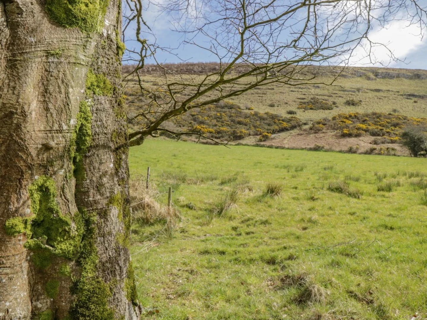 Hannon's Country Farmhouse