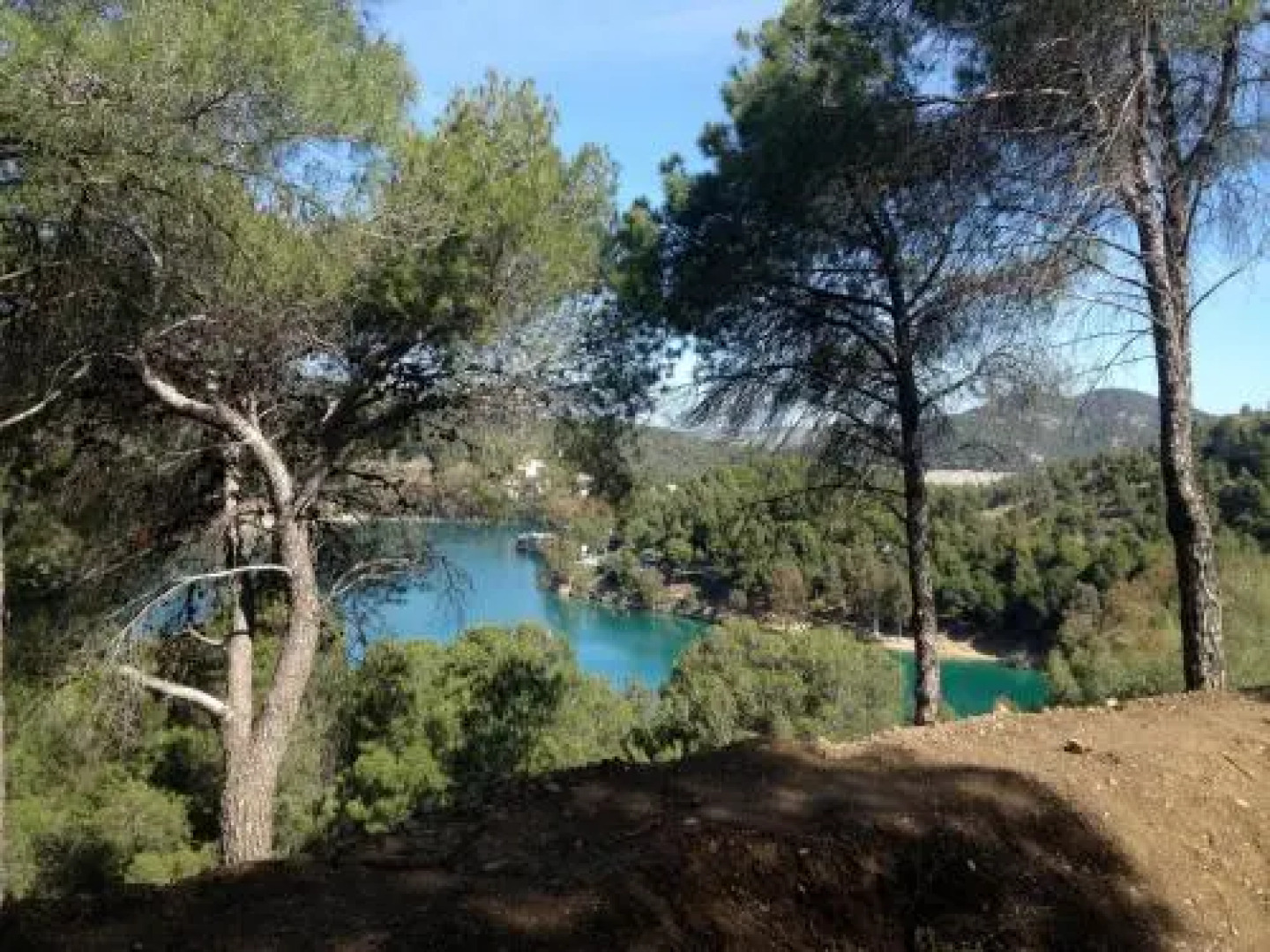 Villa Conmigo Bed & Breakfast