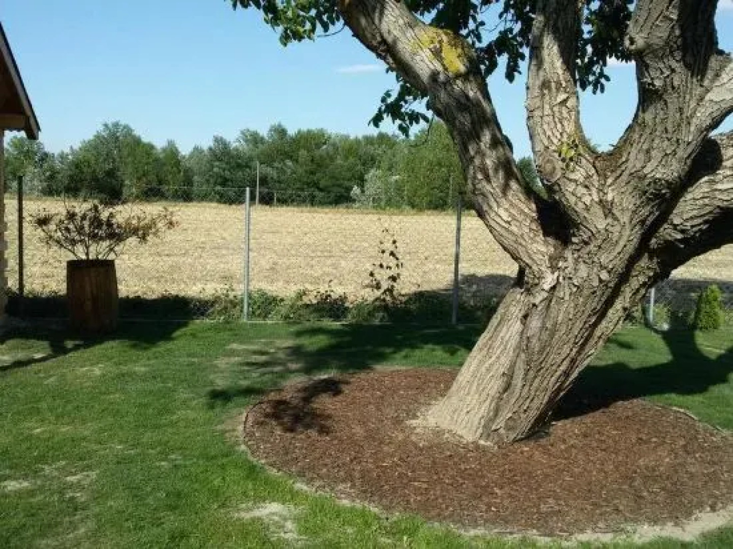 Chalupa Majer Biffár