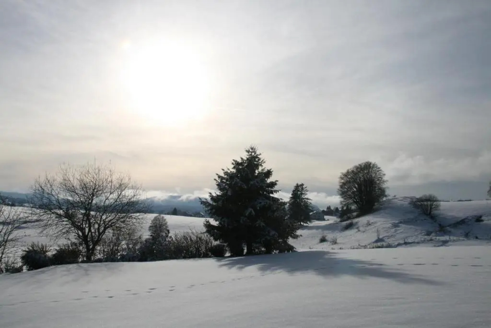 Au Coeur du Lapidaire