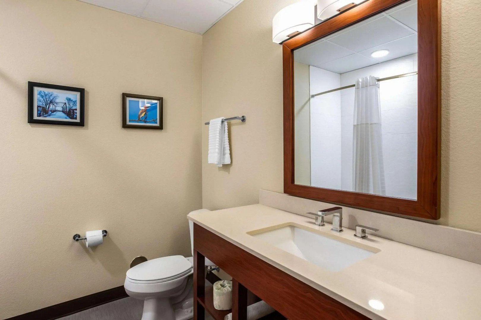 Comfort Inn and Suites Ames near ISU Campus