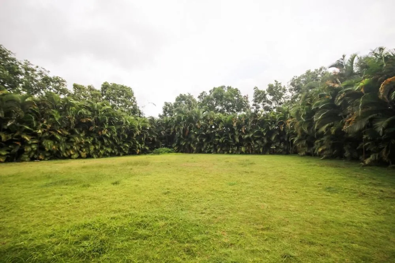 Oyo 48704 Rashi Farms