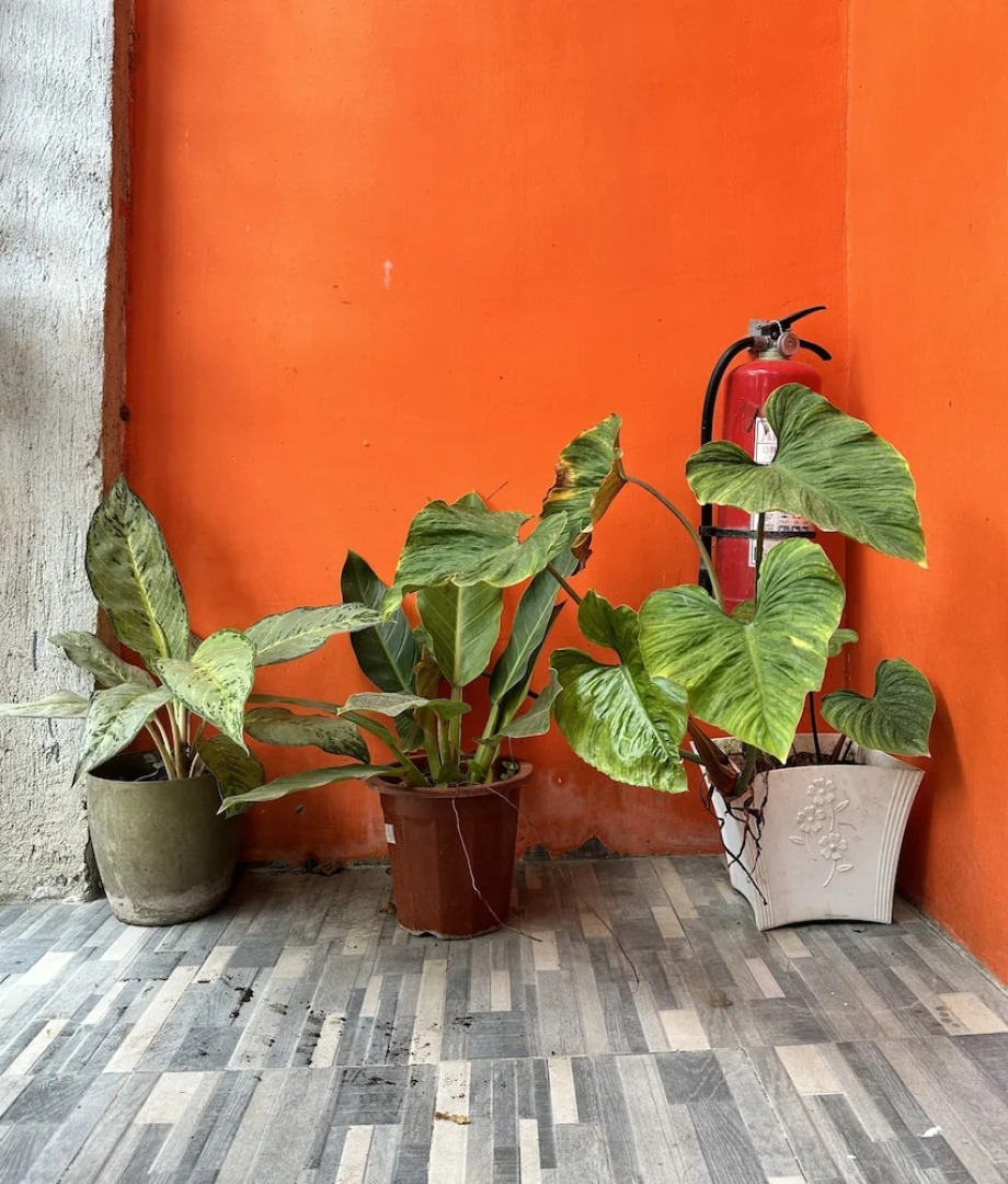 Rozay Travellers Inn