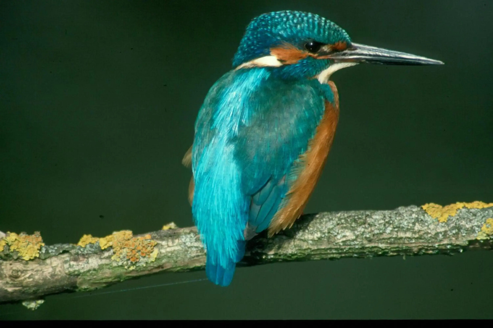 Zentrum für Umwelt und Kultur - Gästehaus und Jugendbildungseinrichtung im Maierhof