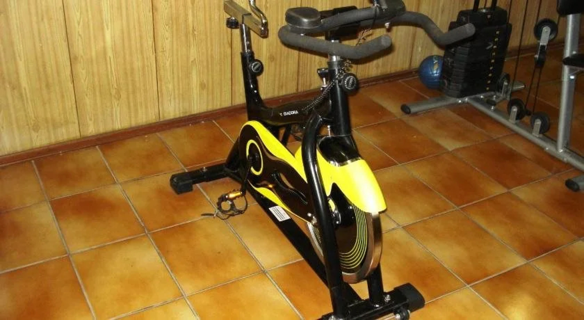 Hotel Alvorada Palace