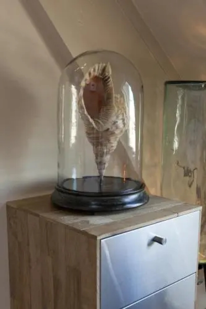 Hotel Sleep-Inn Box 5