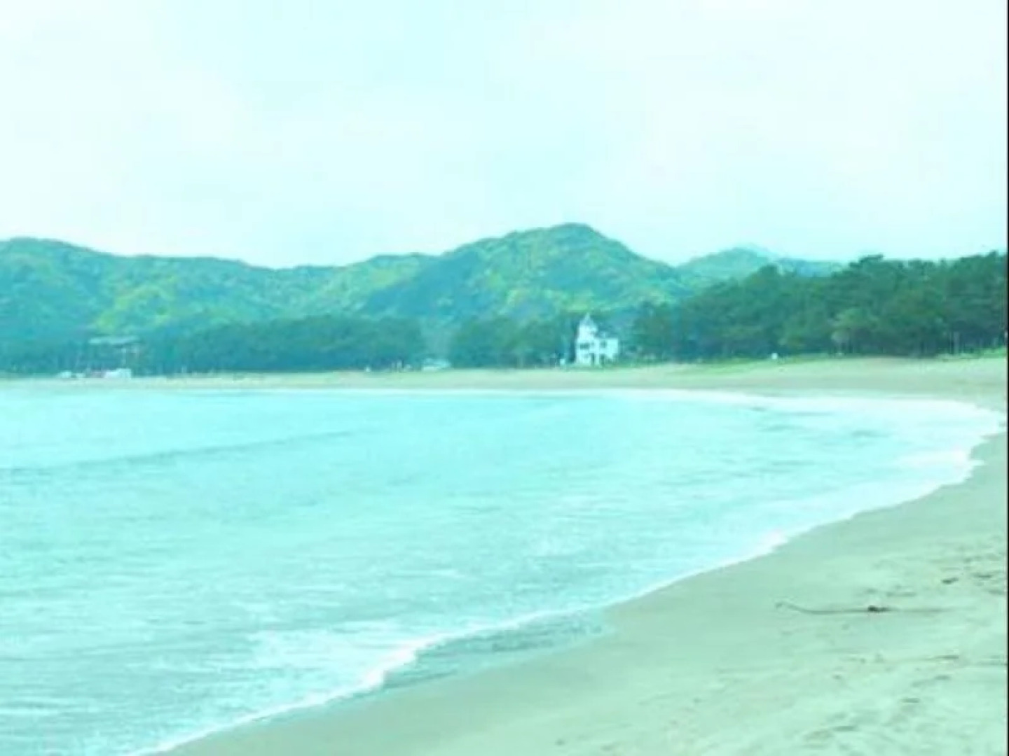 Guest House KODOKODO