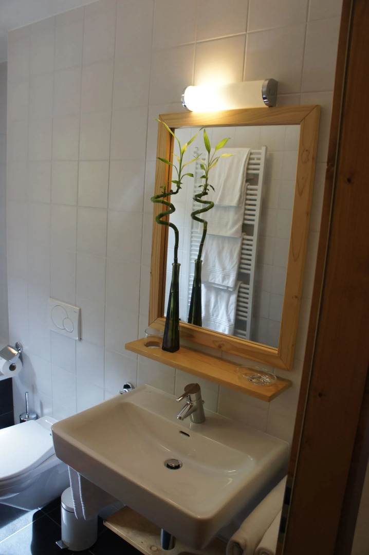 Thermes Parc les Bains du Val d'Illiez