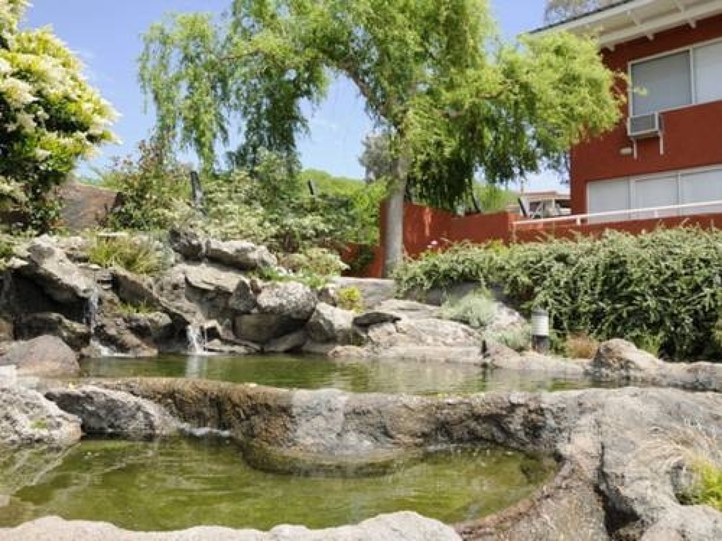 Lake Buenavista Resort