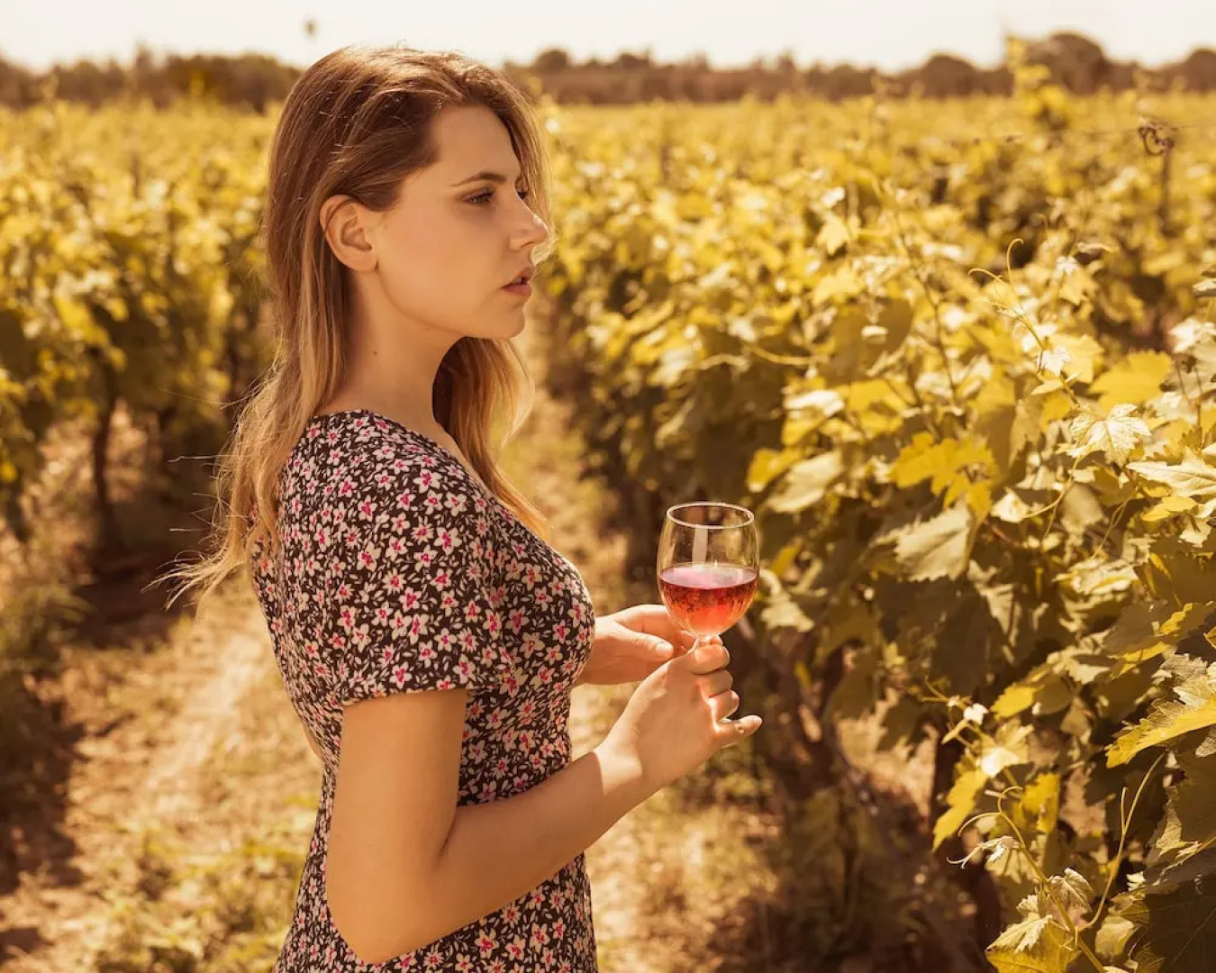 Tenuta Giardini Nuovi