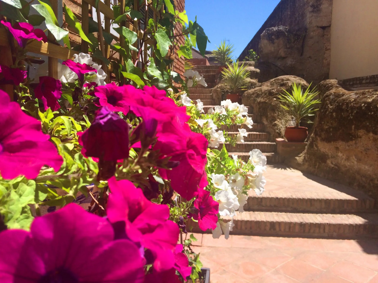 Hospedería Convento de Santa Clara