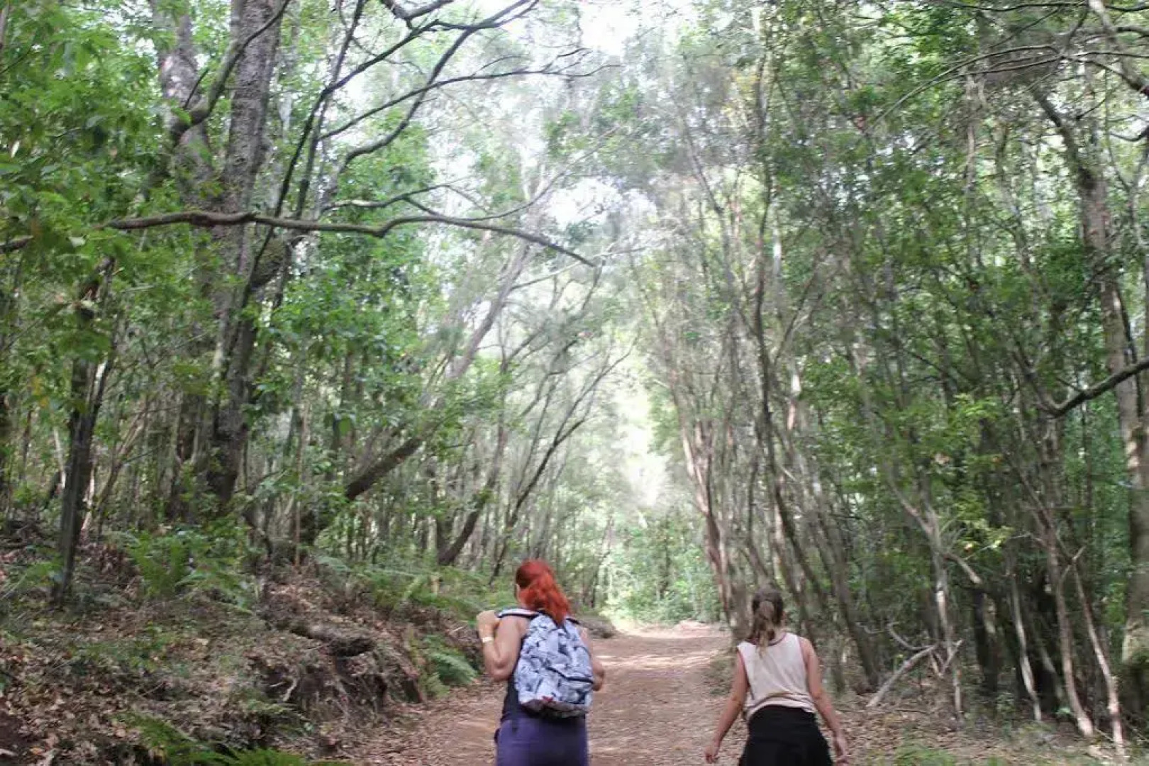 Casa Rural Las Rosas