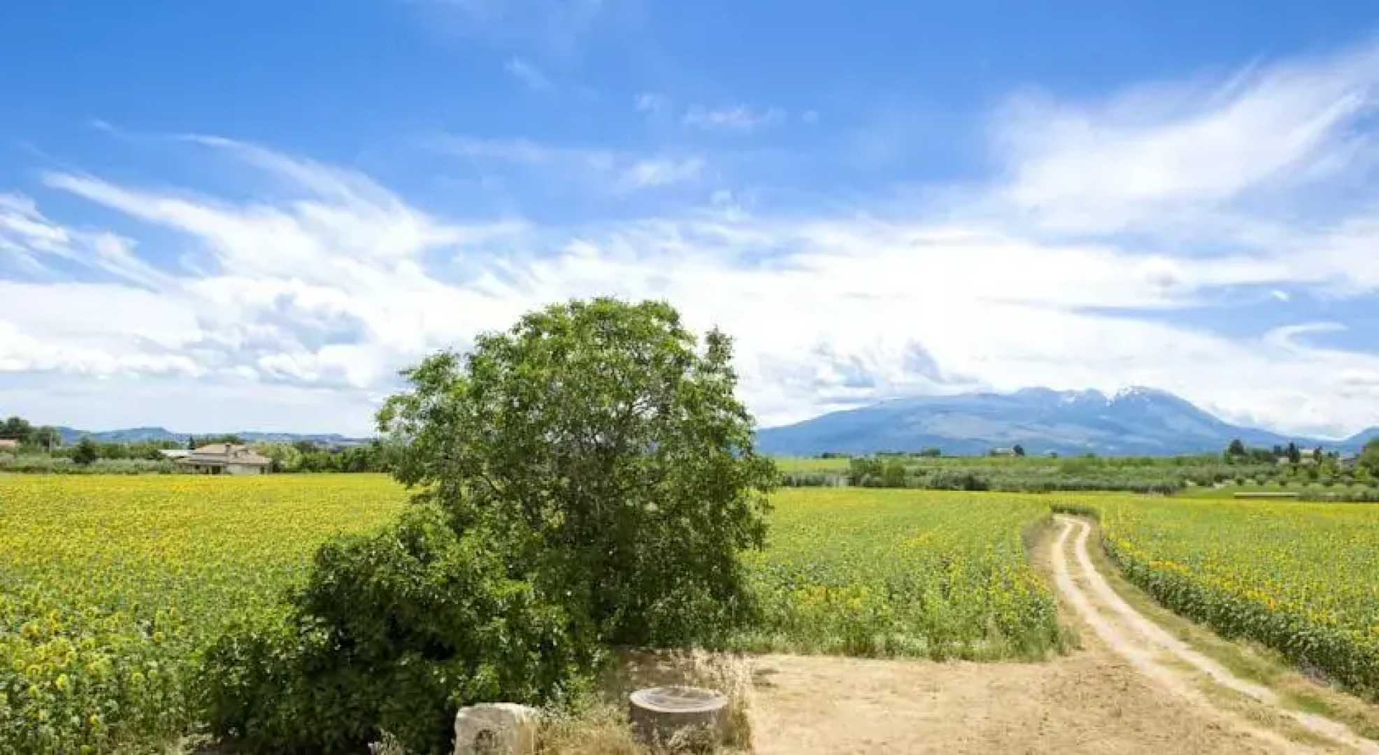 Terre di Varano