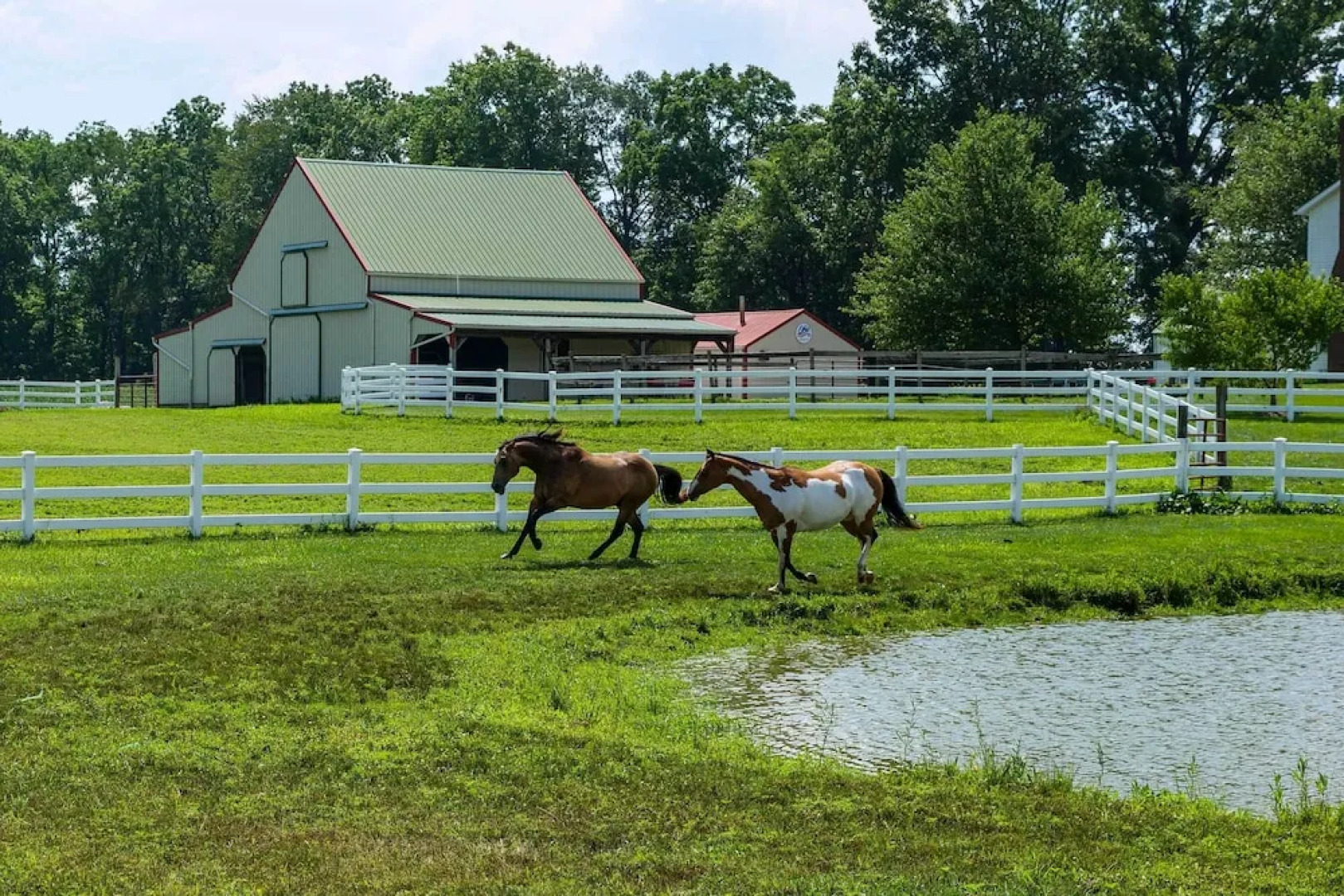 Renovated Bunkhouse on 12-acre Horse Farm!