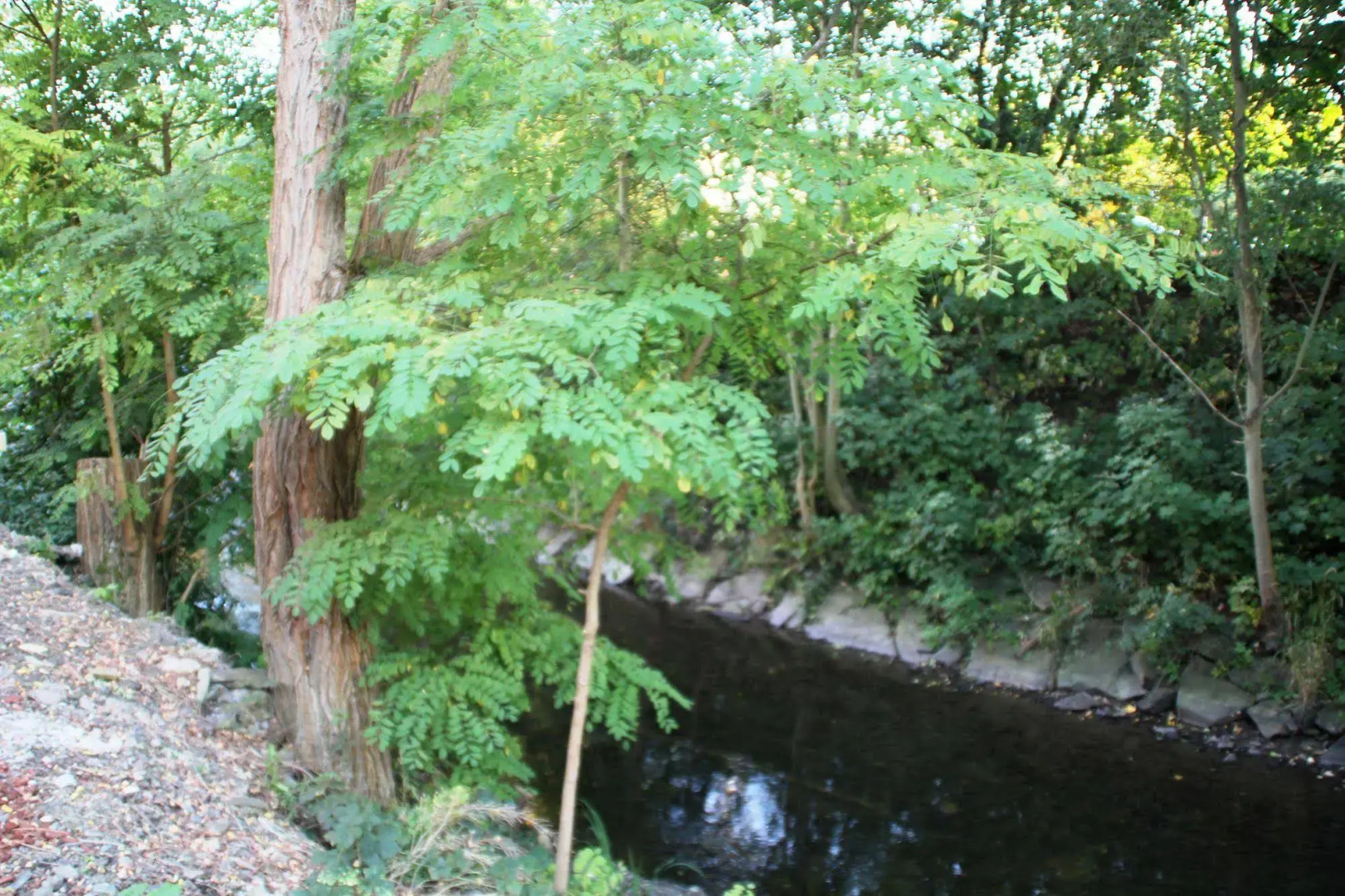 Aux Tanneries de Wiltz