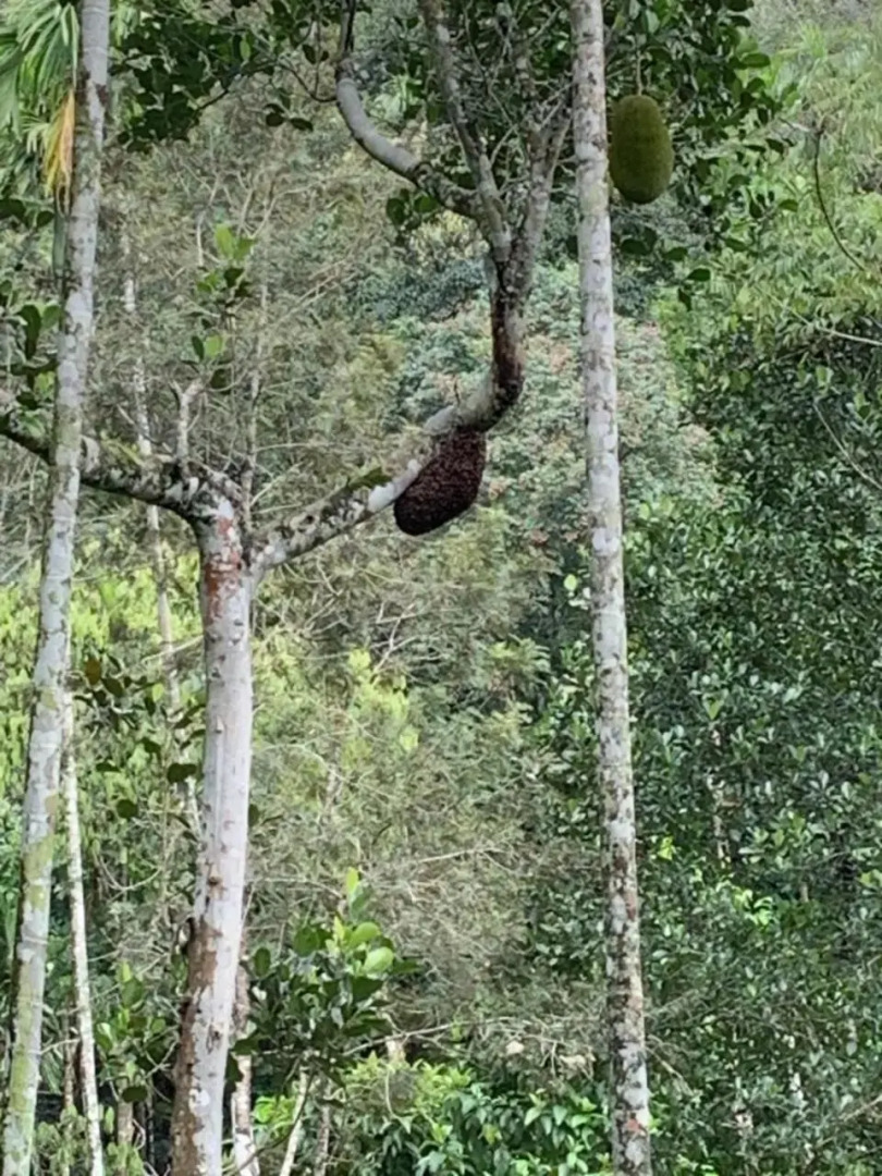 L&G Riverview Haven.