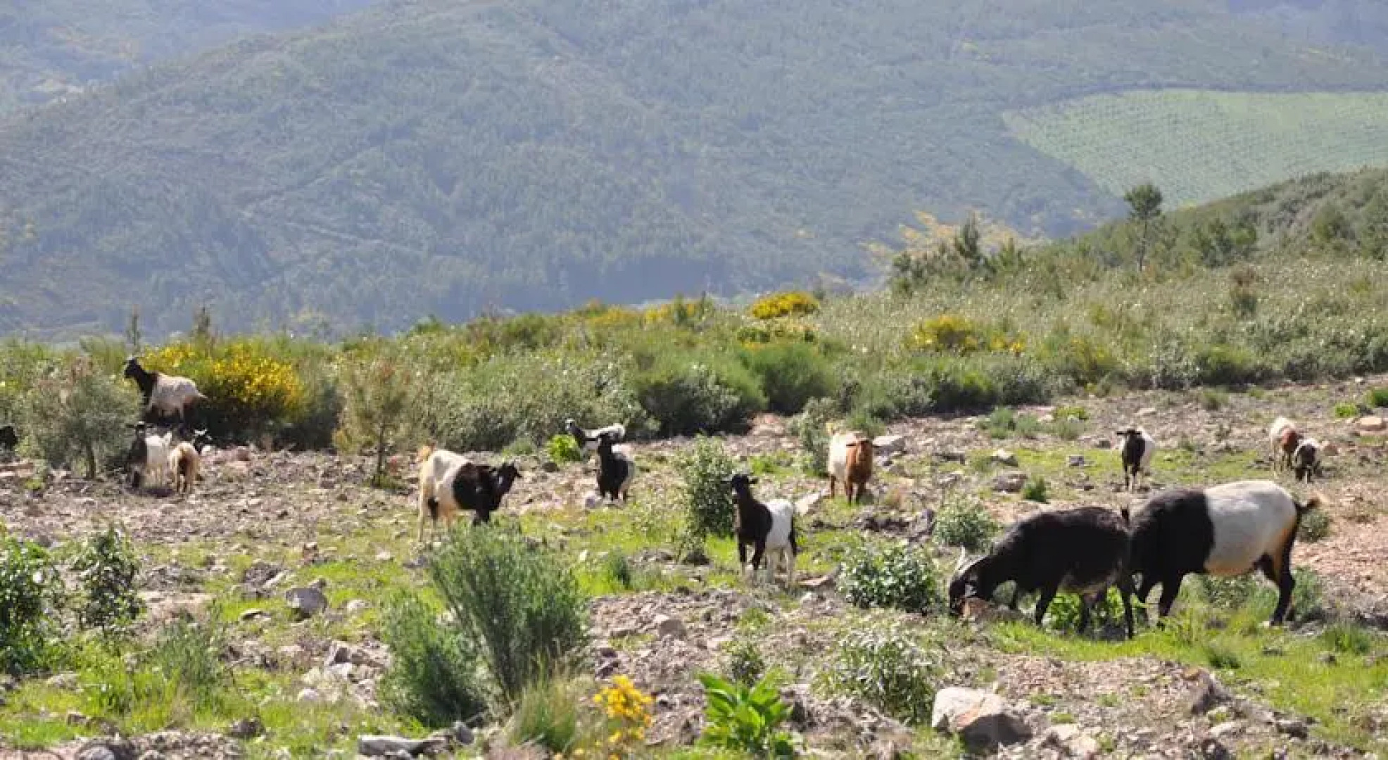 Refugio De La Rabaza