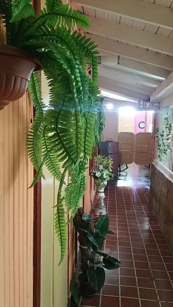 Casa Colonial Alina