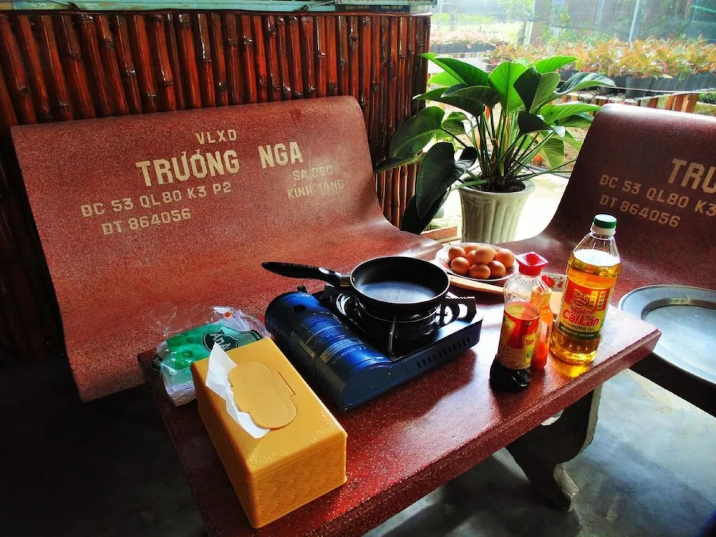 Flower & Frog Homestay